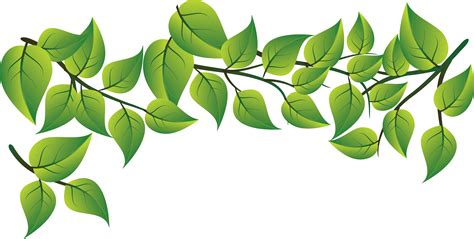 leaf png|Leaf Png Vectors & Illustrations for Free Download.